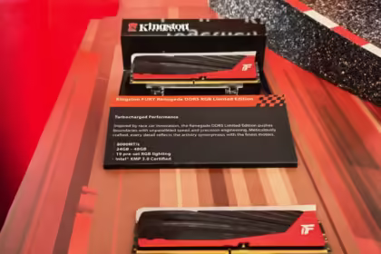 Kingston juara 2025