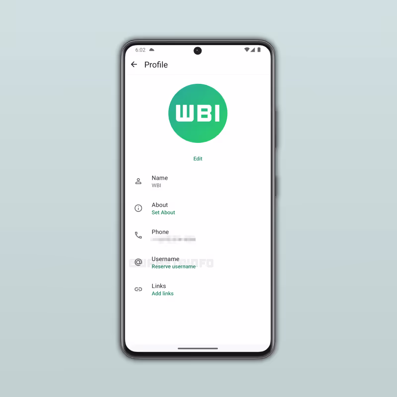 whatsapp username