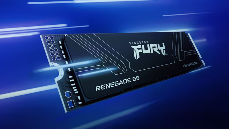 Kingston Fury Renegade G5