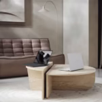 ASUS Zenbook 14 OLED 2026 UX5406AA