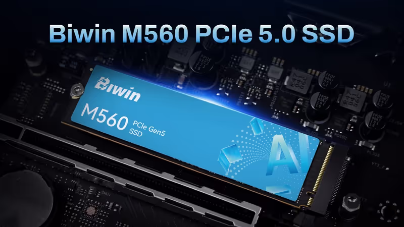 Biwin M560