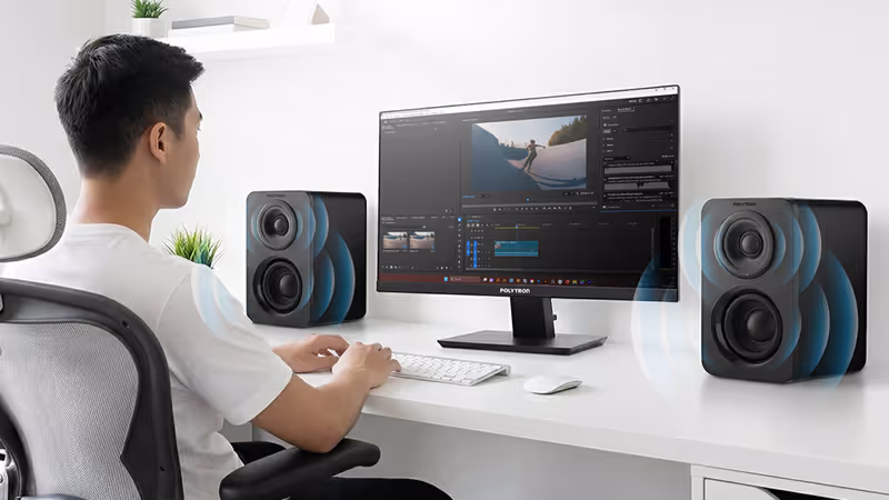 Polytron Audivo PHS 5B